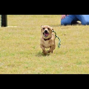 Meet your Posher, Gillian